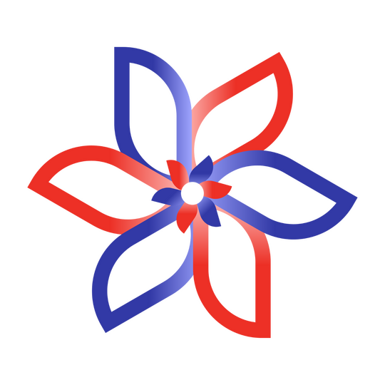 Meet The Province Favicon